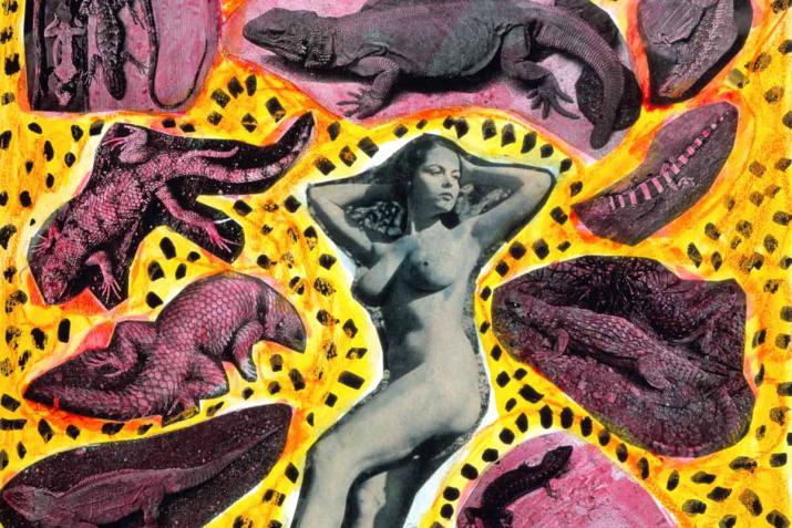 a nude woman surrounded by collaged dinosaurs and a yellow background