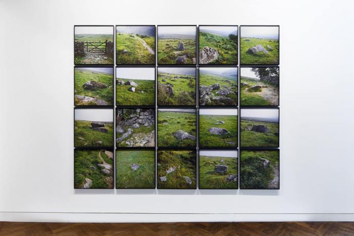 a grid of framed images featuring green landscapes hanging on a wall