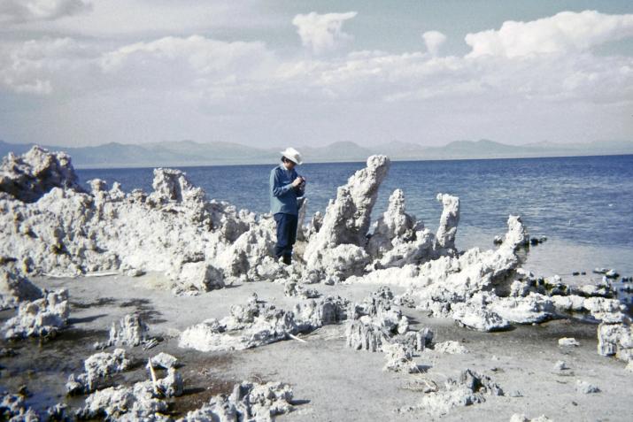 a figure standing at the edge of a lake with large salt encrusted formations along the shore