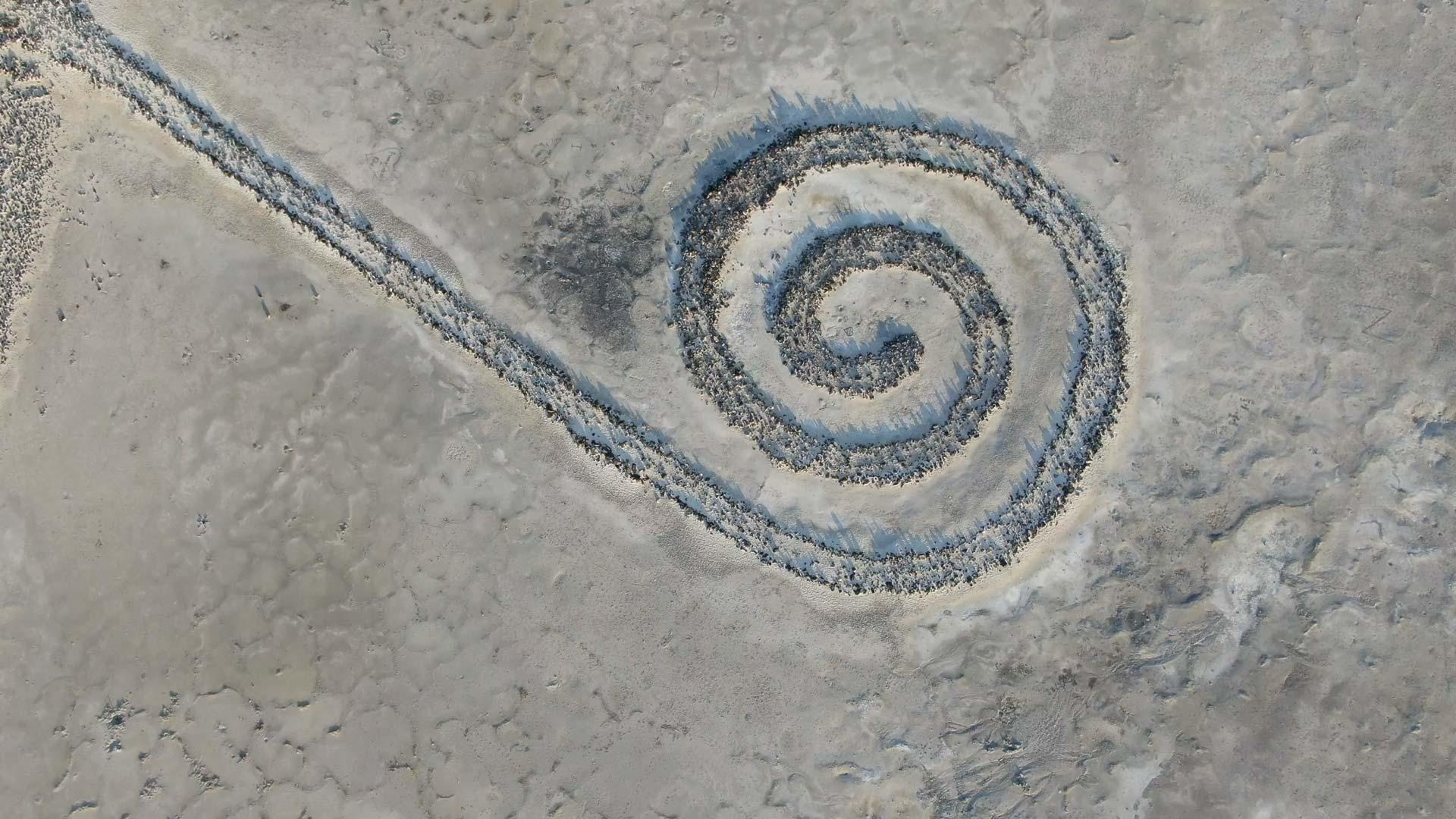 aerial view of spiral jetty 
