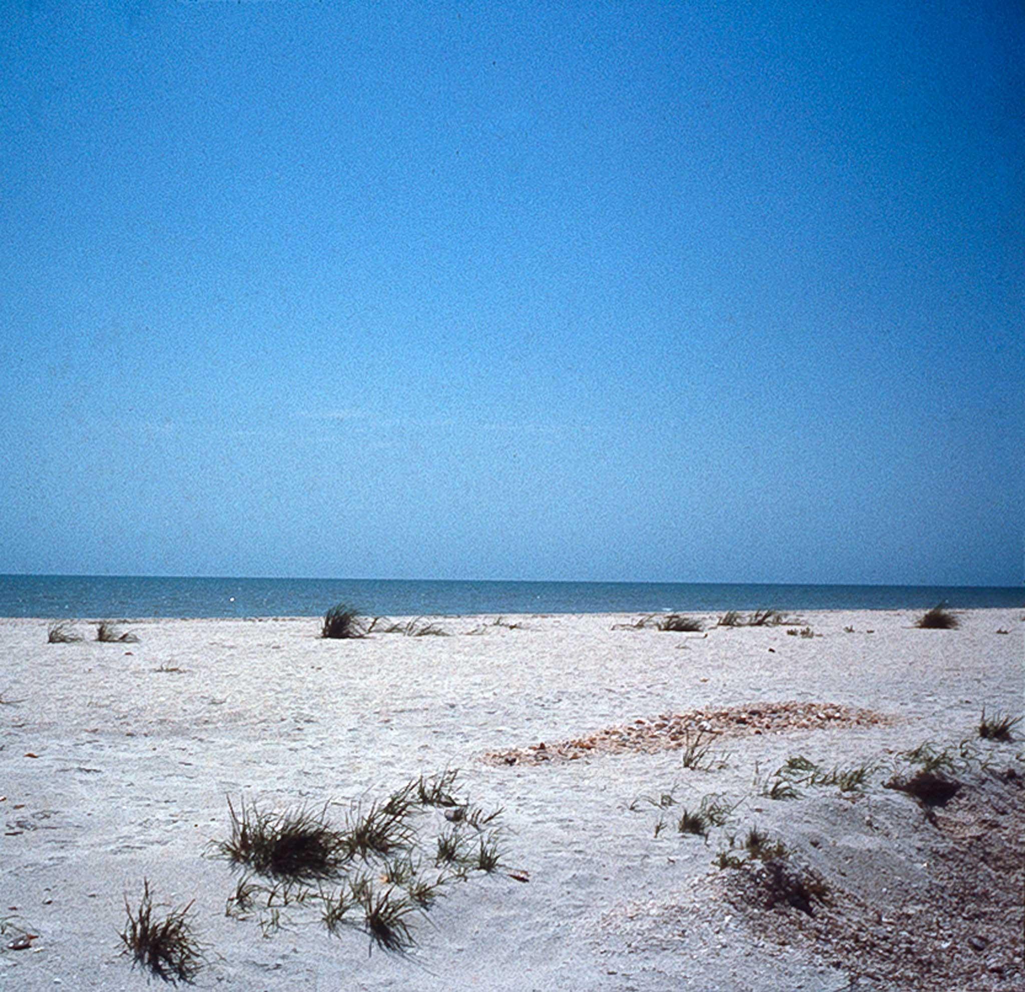 a white sand beach with blue sky and ocean in the background